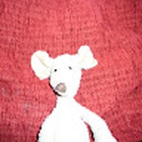 Profile Picture of Wilson Am (@wilson-am-1) on Quora