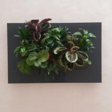 Profile Picture of Mark Milner (@markmilner76) on Twitter