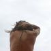 Profile Picture of Brendan Leith (@brendanleith) on Pinterest