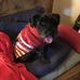 Profile Picture of Pat Touhy (@pat.touhy.3) on Facebook