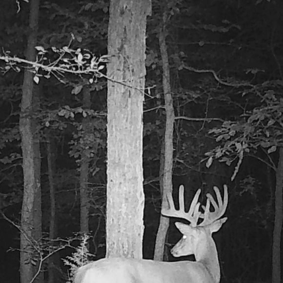 Profile Picture of Tim Massey (@tim_massey) on Poshmark