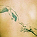 Profile Picture of Alex Pisarski (@pisi2008) on Flickr