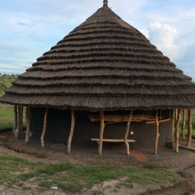 Profile Picture of Shane Wilber (@wilber_shane) on Twitter