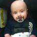 Profile Picture of Adam Danneman (@adamdanneman) on Pinterest