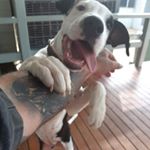 Profile Picture of Nathan Quinn (@nathan.quinn.7393) on Instagram