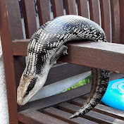 Profile Picture of Adrian Owen (@adoadventures) on Youtube