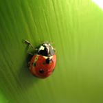 Profile Picture of Robert Stallings (@two3ninedesign) on Instagram