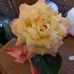 Profile Picture of Ellen Noll (@ellen.noll.566) on Facebook