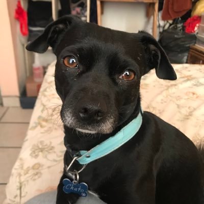 Profile Picture of Sara Zuno (@sara_zuno) on Twitter