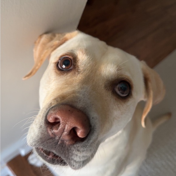 Profile Picture of Brayden James (@braydenjosepg) on Poshmark