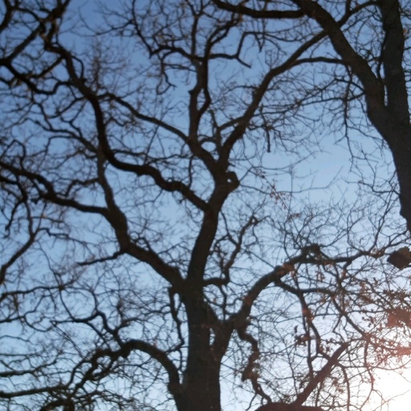 Profile Picture of Suzanne Azlin (@momma3cubs) on Poshmark