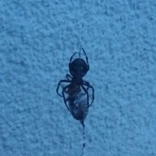 Profile Picture of Daniel Dreßler (@DDressler79) on Twitter