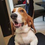 Profile Picture of Gil Aleman (@gil1284) on Instagram