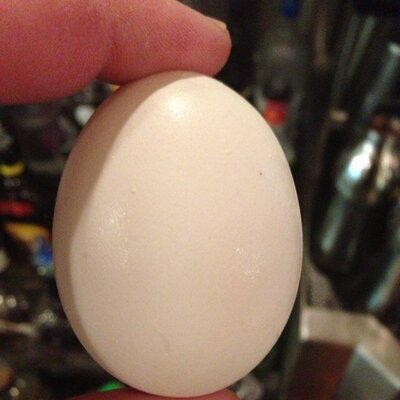 Profile Picture of Adam Lucci (@AdamLucci) on Twitter