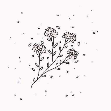 Profile Picture of Chloe Conrad (@shloaiii) on Twitter