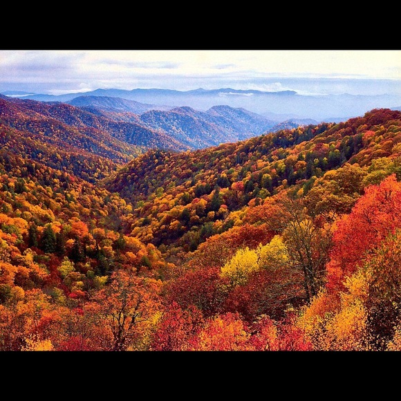 Profile Picture of Kaylee Beahan (@beakrose) on Poshmark