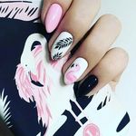 Profile Picture of Jessika Jałowiec (@jessikajalo) on Instagram