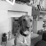 Profile Picture of Amelia Hopper (@Amelia-Hopper) on Facebook