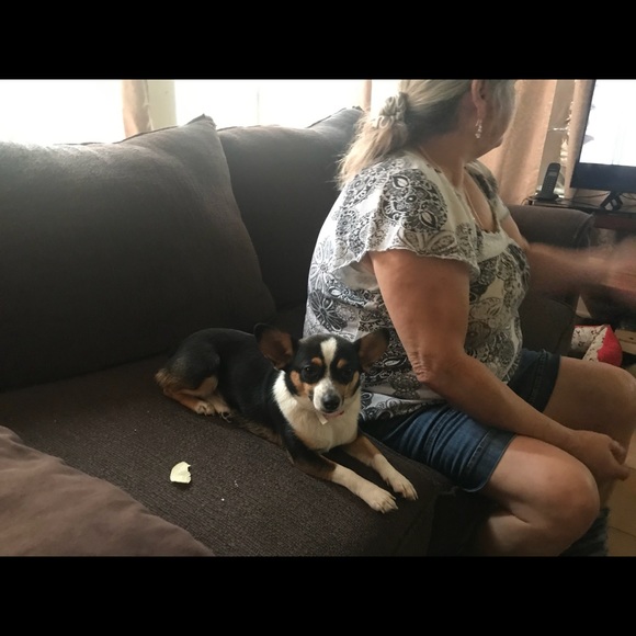 Profile Picture of Graham Beisel (@beiselg) on Poshmark