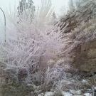 Profile Picture of Paula O'Rourke (@phylis583) on Pinterest