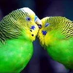 Profile Picture of Marie Josephe Delorme (@mariejosephedelorme) on Instagram