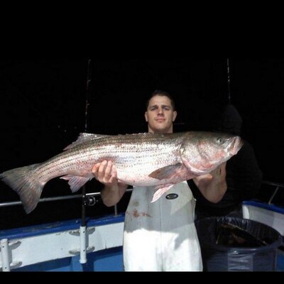 Profile Picture of Thomas Antonioli (@ThomasAntonioli) on Twitter