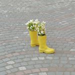 Profile Picture of Michael Bauer (@michael.bauer070) on Instagram