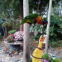 June Christie - Quora Profile Picture of June Christie (@june-christie-4) on Quora