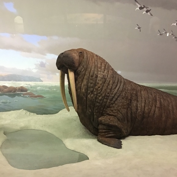 Profile Picture of Matthew Varnum (@mvarnum4) on Poshmark