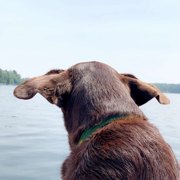 Profile Picture of Erica Maulson (@ericamaulson) on Poshmark