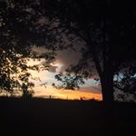 Profile Picture of loricollinsphotography (@loricollinsphotography) on Instagram