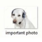 Profile Picture of Liv Scheick (@Liv-Scheick) on Facebook