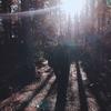 Profile Picture of Kevin Coogan (@@neck_romancer_) on Tiktok