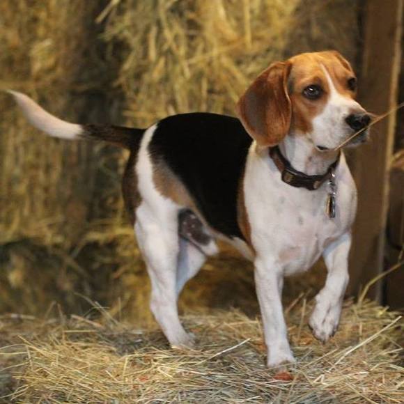 Profile Picture of Kim Osborn (@kimjosborn) on Poshmark