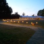 Profile Picture of Stuart Watkins (@watkinselectricaluk) on Instagram