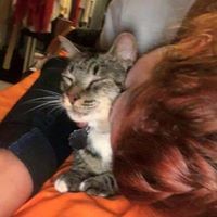 Profile Picture of Sasha Freeman (@sasha-freeman-4) on Quora