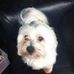 Profile Picture of Lisa Perks (@lisa.perks.3538) on Facebook