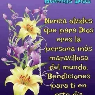 Profile Picture of Eddie Gallegos (@nicholas78227) on Twitter