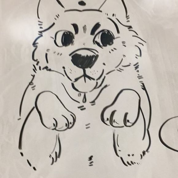 Profile Picture of Jellyfish Jelly (@ayleencruz41) on Poshmark