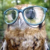 Profile Picture of Alex Kozlowski (@ajkoz9393) on Youtube