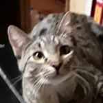Profile Picture of Misty Daniels (@mistydaniels41) on Instagram
