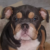 Profile Picture of Mandy Wade (@mandywade7141) on Youtube