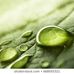 Profile Picture of Harsh Verma (@navkesh.verma.5) on Facebook