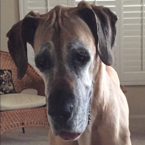 Profile Picture of Quinn Bellas (@quinn_bellas) on Poshmark