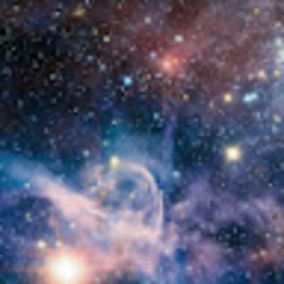 Profile Picture of Anna Mednick (@anna2324103) on Poshmark