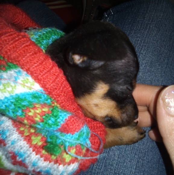 Heather Curley - Poshmark Profile Picture of Heather Curley (@kimcurley69) on Poshmark