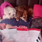 Profile Picture of Amanda Constancio (@Amanda-Constancio) on Facebook