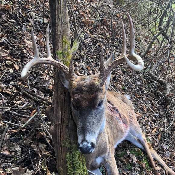 Profile Picture of Kyle Ely (@ely322) on Poshmark