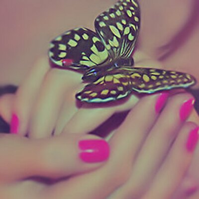 Profile Picture of Asma Fadel (@a_alshukri) on Twitter