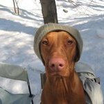 Profile Picture of Sean Redmond (@seanred2) on Instagram